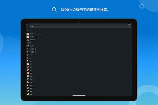 e-Anatomy screenshot 11