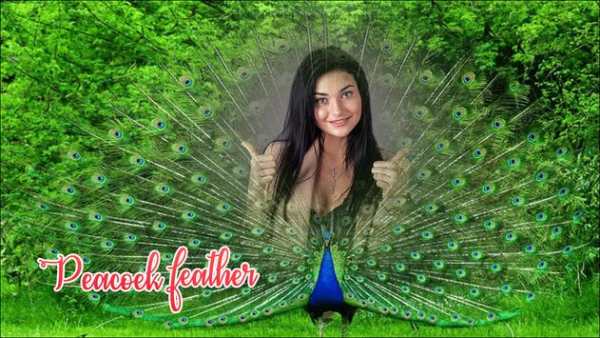 Peacock Photo Frames screenshot 4