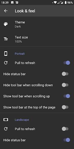Fulguris Web Browser screenshot 8
