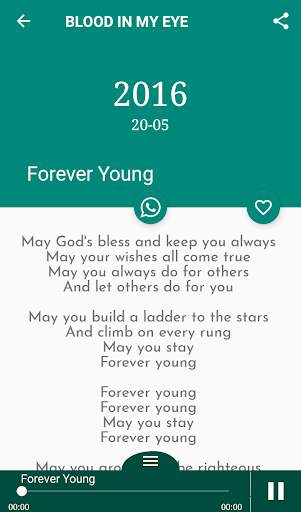 BOB DYLAN Songs Lyrics screenshot 5