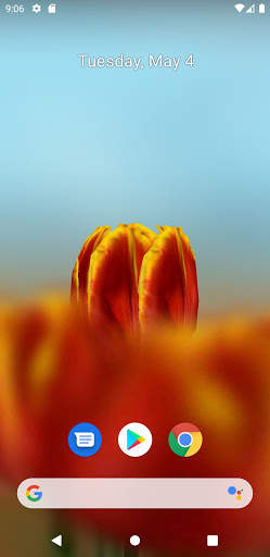3D Tulip Live Wallpaper screenshot 3