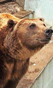 Funny Zoo Puzzle Jigsaw screenshot 1