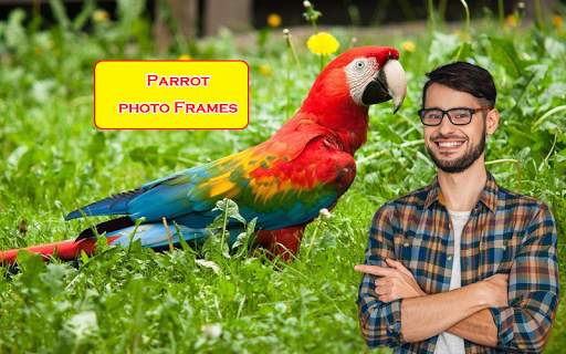 Parrot Photo Frames screenshot 1