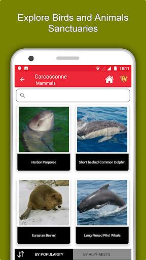 Carcassonne Travel & Explore,  screenshot 5