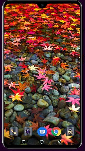 Autumn Wallpaper 4K Latest screenshot 15