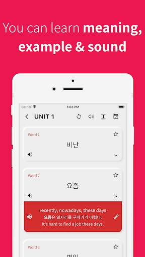 Korean vocabulary, TOPIK words screenshot 4