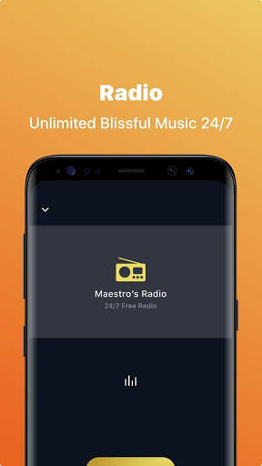 Maestros Music screenshot 6