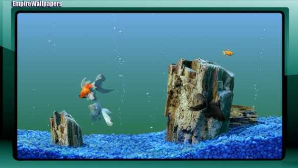 Aquarium Pack 2 Wallpaper screenshot 1
