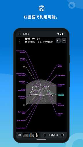 vet-Anatomy screenshot 7