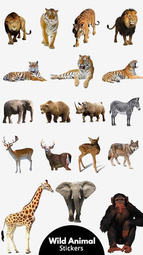 Wild Animal Photo Frames - Background Eraser screenshot 5