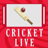 Crix - all in one cricket 1.4