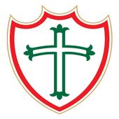 Lusa News icon