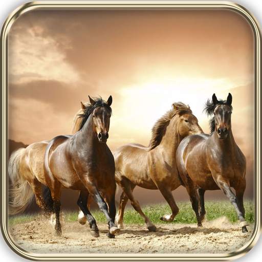 Savanna Animals Theme 3.91