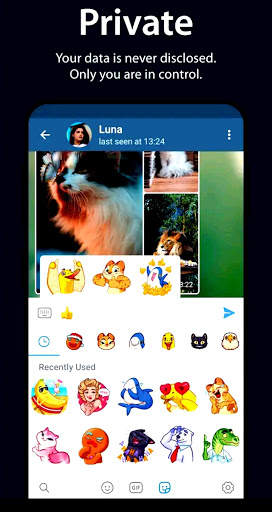 Private Messenger- free text,calls and group chats screenshot 3