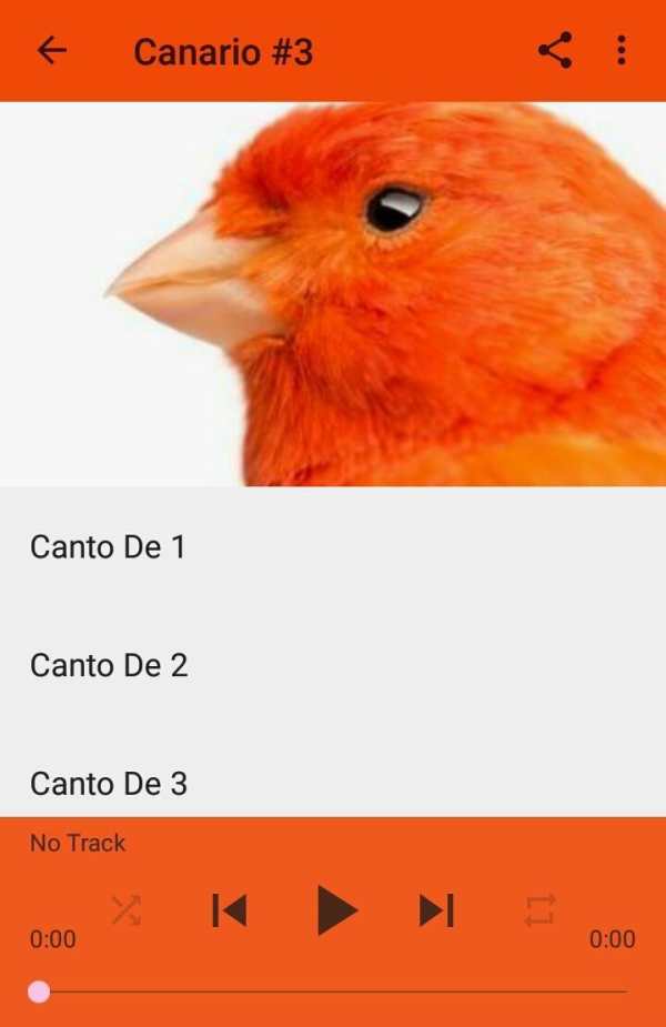 Canto De Canario Timbrado 4 تصوير الشاشة