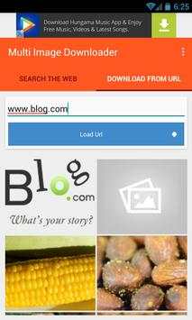 Multi Image Downloader screenshot 6