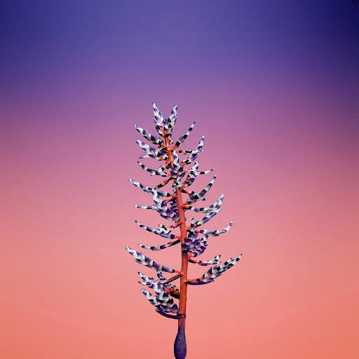 Wallpaper for iphone 11,XR,XS,SE screenshot 13