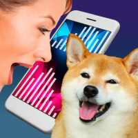Dog Translator Simulator logo