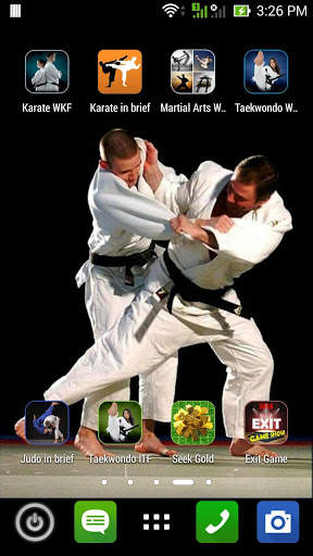 Martial Arts Wallpaper screenshot 1