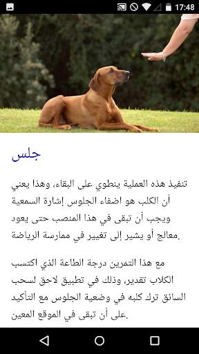 دورة تدريب الكلاب 3 تصوير الشاشة