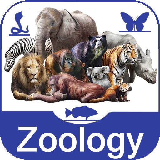 Zoology Study 1.4