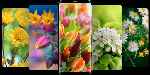Flower Wallpapers 4K скриншот 2