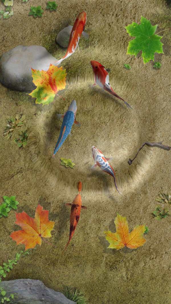 Water Koi Fish Pond LWP screenshot 5