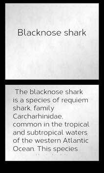 Shark Species: Types of Shark screenshot 4