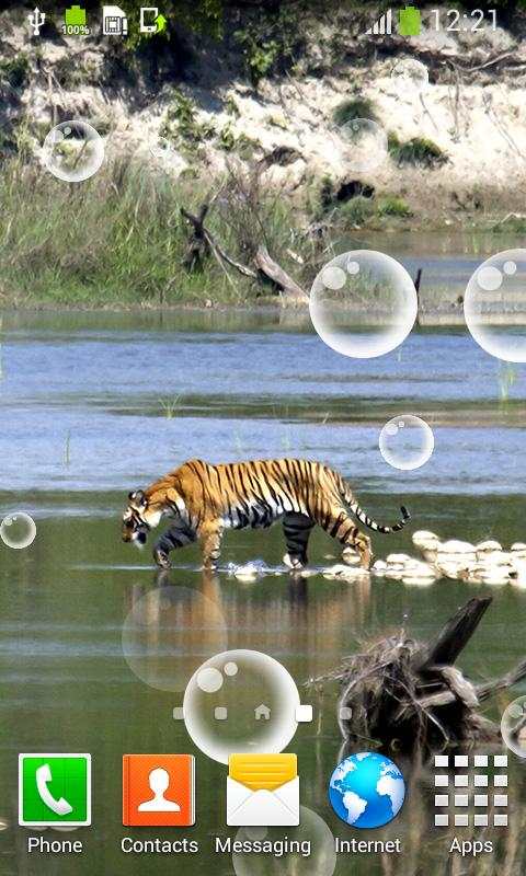 Tiger Live Wallpapers screenshot 3