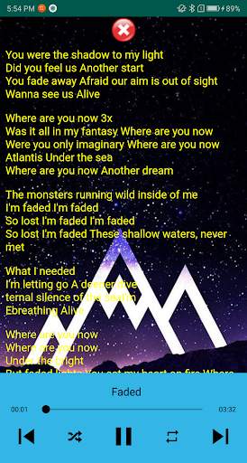 Alan Walker Song plus Lyrics screenshot 2