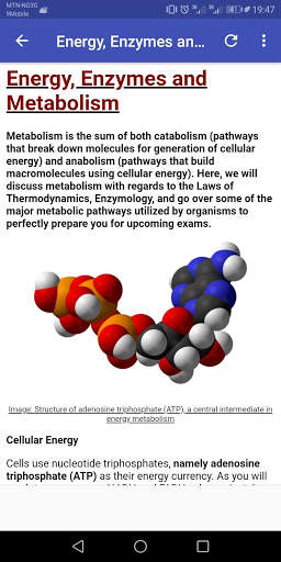 Medical Biochemistry screenshot 7