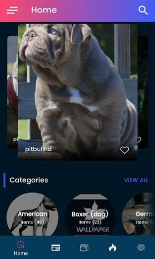 Pitbull HD Wallpaper 2020 screenshot 2