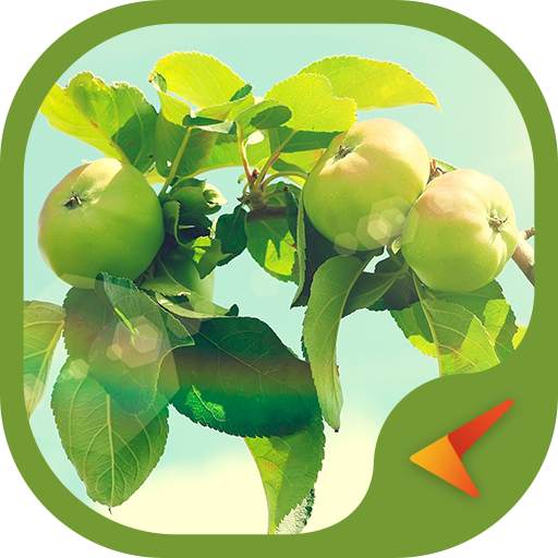 Theme Apple 1.1.3