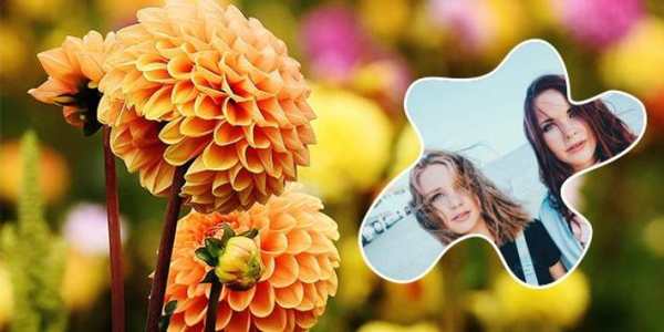 Flower Photo Frame screenshot 5
