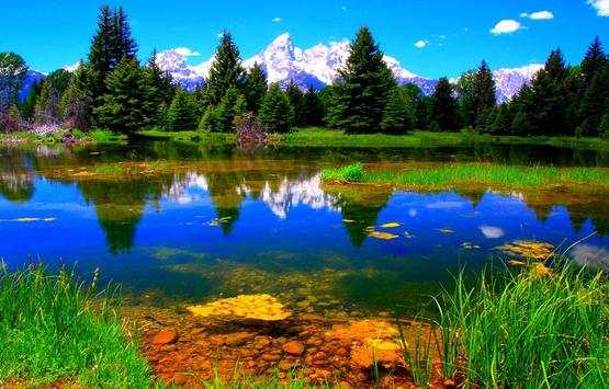 Lake Live Wallpaper screenshot 1