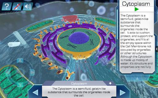 Cell World screenshot 12