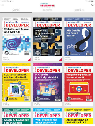 web & mobile DEVELOPER screenshot 1