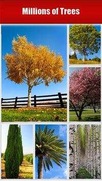 Trees - HD Wallpapers screenshot 1
