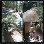 Security / IP Camera Viewer 1.9.4