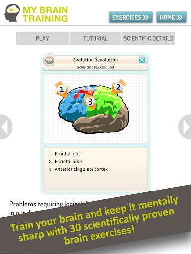 MyBrainTraining - effective and fun 13 تصوير الشاشة