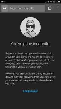 Salam Browser screenshot 2