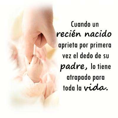 Frases sabias - Frases de vida 20 تصوير الشاشة