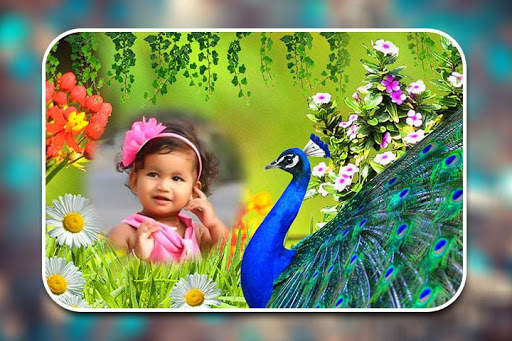 Peacock Photo Frames screenshot 2