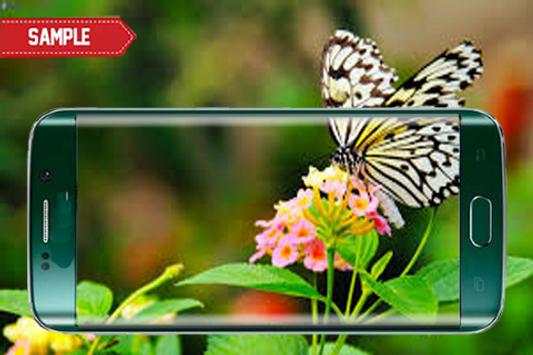 Camera 24 Megapixel HD screenshot 4