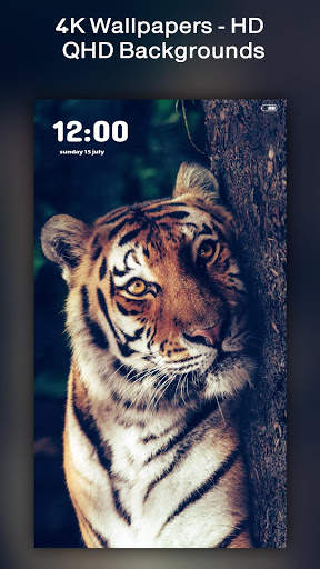 4K Wallpapers,  HD & QHD Backgrounds स्क्रीनशॉट 2