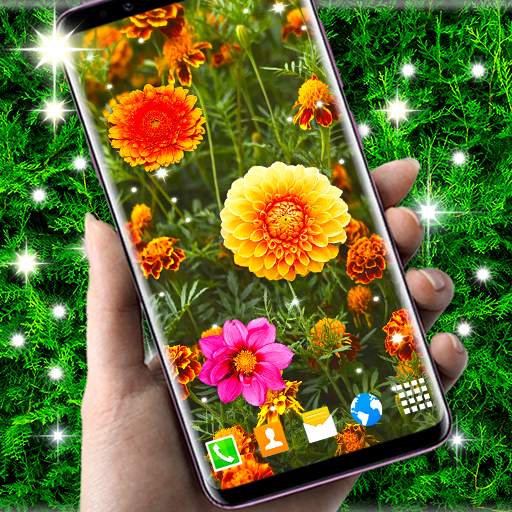 Autumn Flowers Live Wallpaper 6.9.34