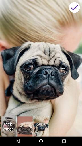 Pug Lock Screen screenshot 7
