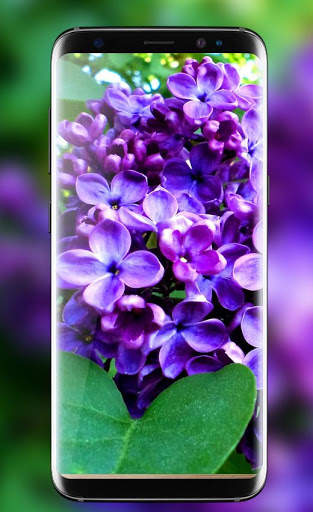 Lilac Live Wallpapers Free - HD Flower Wallpaper screenshot 4