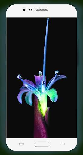 Neon Flower Wallpaper screenshot 11