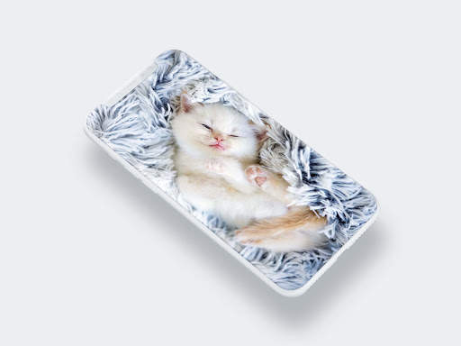 Cute Cat Wallpaper screenshot 8